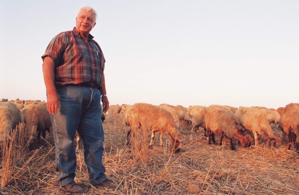 Ariel Sharon is pictured on his Negev farm in 1993. Photo by Flash 90
