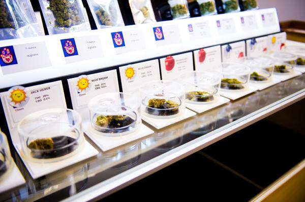 At the Takoma Wellness Center in Washington, D.C., medical marijuana strains are labeled with percentages of natural chemical compounds and symbols that tell which strains help with staying awake, sleeping or eating. Photo by David Stuck