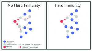 3_p12Herd Immunitygraphic2-12