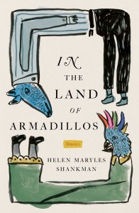 art-in-the-land-of-armadillos-cover